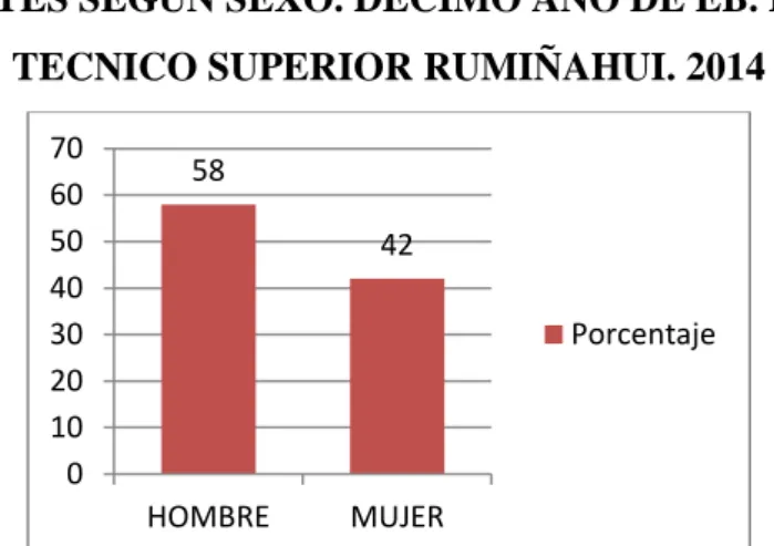 Gráfico Nº 7 