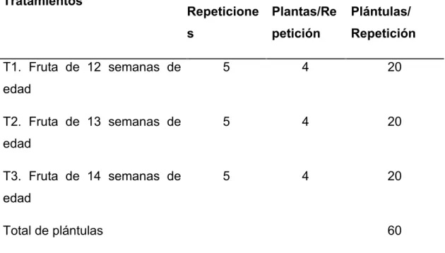 Cuadro 2. Esquema del experimento