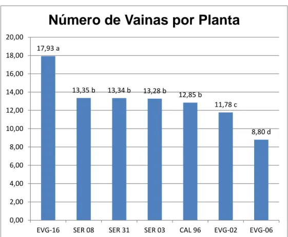 FIGURA 5.- NUMERO DE VAINAS POR PLANTA EN EL ENSAYO CARACTERIZACIÓN FENOTÍPICA DE 7  LÍNEAS AVANZADAS DE FRÉJOL (Phaseolus vulgaris L.) OBTENIDAS POR SELECCIÓN INDIVIDUAL EN  LA ZONA DE QUEVEDO 17,93 a 13,35 b 13,34 b 13,28 b 12,85 b 11,78 c 8,80 d0,002,00