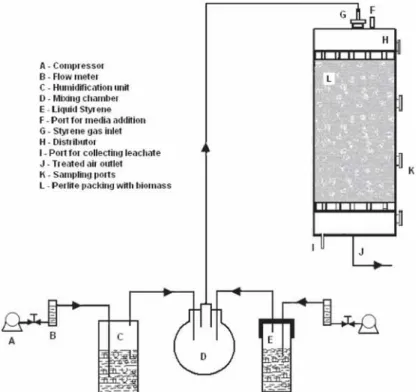 Figure 1. Schematic of the perlite biofilter.