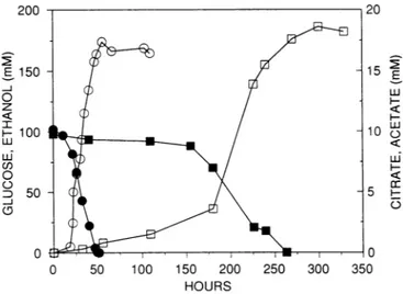 FIG. 1. Kinetics of glucose (0) fermentation into ethanol (0), and citrate (-) fermentation into acetate (O), at initial pH 3.6