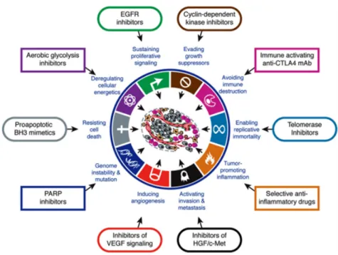 Figure 1.3: Terapeutic Agents. Figure from [40], reprinted with permission from Elsevier.