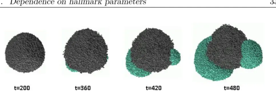 Figure 3.5: Snapshots of the cellular system at different time steps using the parameter set of Figure 3.4 (Grid size=10 6 ).