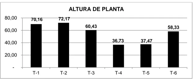 Cuadro 21. Longitud de planta (cm.) en el comportamiento agronómico de seis  variedades de reygrass con una fertilización química en el Cantón  Salcedo