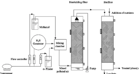 Figure 1 Schematic of the two‐stage bioreactor (BTF followed by BF). 