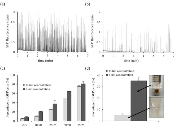 Fig. 4. Optimization of the purification flow conditions for the microfluidic magnetic cell sorting, using mag- D1-MSCs- D1-MSCs-GFP and non-Mag-D1-MSCs microcapsules