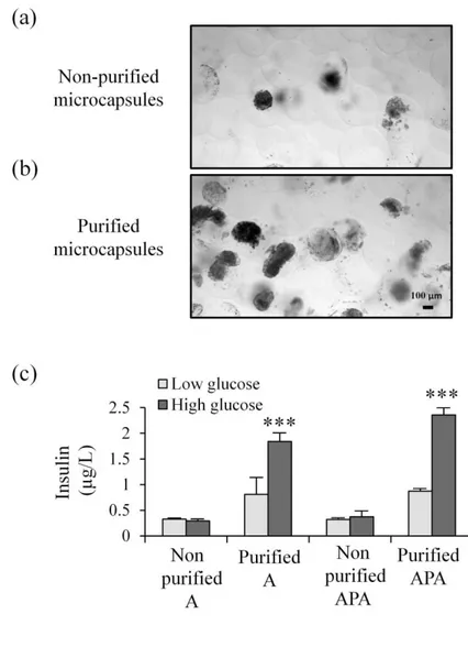 Fig.  6.  (a)  Representative  brightfield  microphotographs  of  microencapsulated  pseudoislets  directly  after  encapsulation  (Non-purified  microcapsules)  and  (b)  after  3  recircularized  magnetic  separations  (Purified  microcapsules)