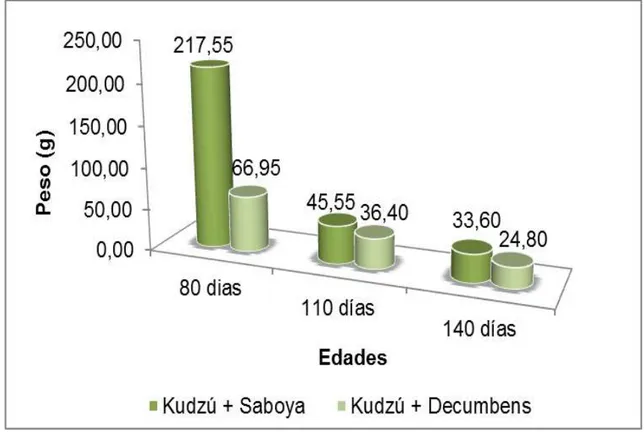 Figura  3.  Peso  de  hojas  (g),  en  la  interacción  de  dos  asociaciones  de  pastos con leguminosas con pastos por edades