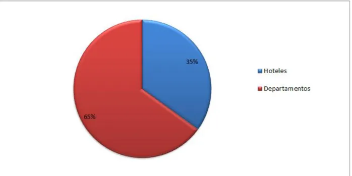 Gráfico 10. Preferencia de hospedaje