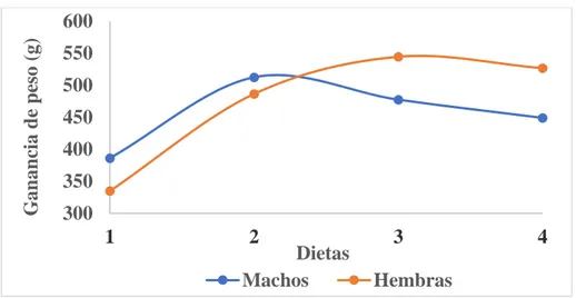 Gráfico 1. Interacción (Sexo x Dieta) para la ganancia de peso (g) en el  engorde de cuyes sexados (Cavia porcellus Linnaeus)