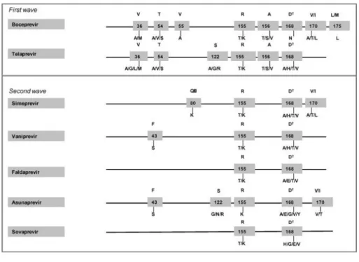 Fig.  1. Main  resistance  mutations  associated  with  first  and  second  wave  of  first  generation  of  protease  inhibitors