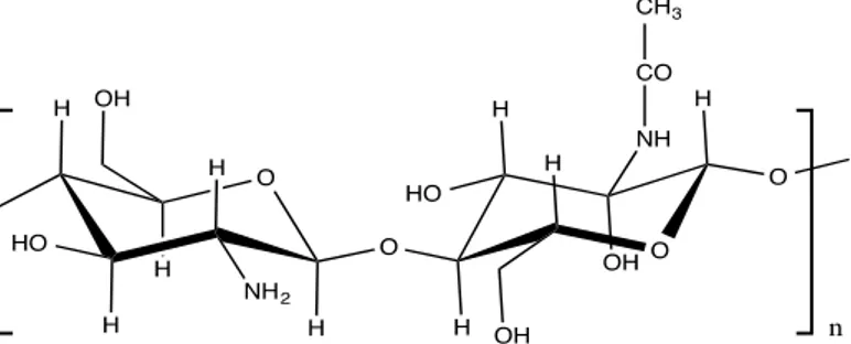 Figura 3. Estructura química de las unidades de quitosano. 