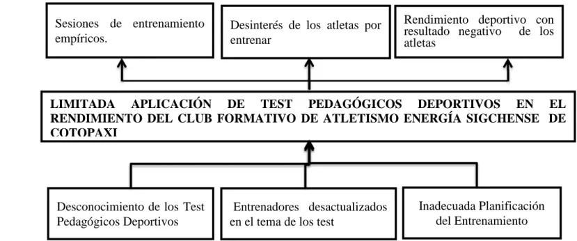 Gráfico 1: Árbol de Problemas  