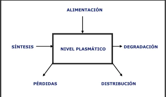 Figura 2: NIVELES DE LAS PROTEÍNAS PLASMÁTICAS 