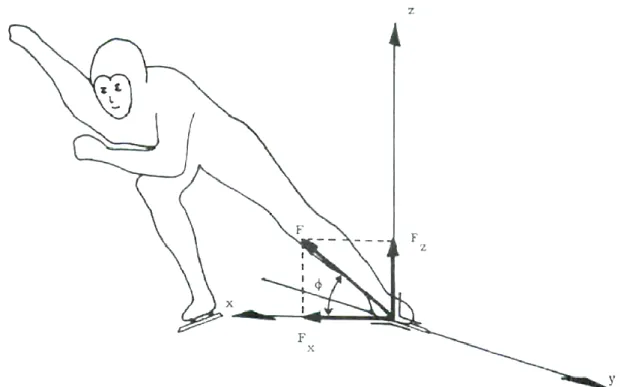 Fundamentación Teórica y Análisis Biomecánico Básico de la Técnica de Patinaje de Velocidad