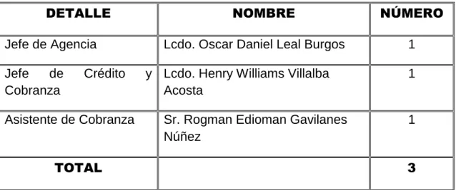 CUADRO Nº 3  FIRMA AUDITORA 