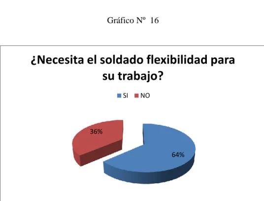 Gráfico Nº  16 