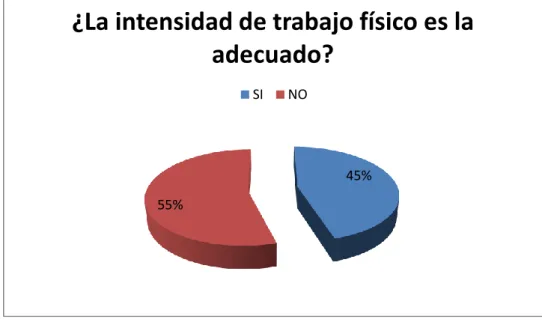 Gráfico Nº  18 