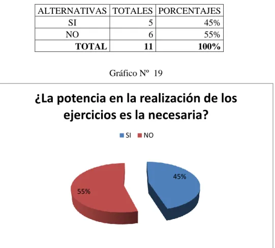 Gráfico Nº  19 