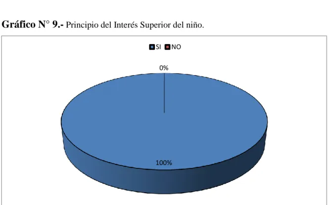 CUADRO Nº 9.-  Principio del Interés Superior del niño. 