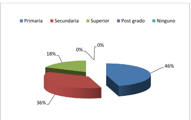 Gráfico N. 2  Nivel de escolaridad 
