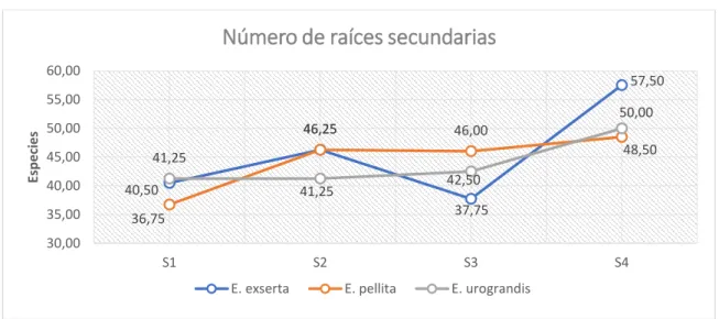 Gráfico 3. Ilustración de la interacción especies*sustratos a los 52 días     