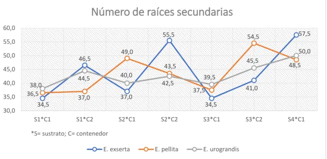 Gráfico 5. Representación de la interacción especies*sustratos*contenedores a los 52 días 