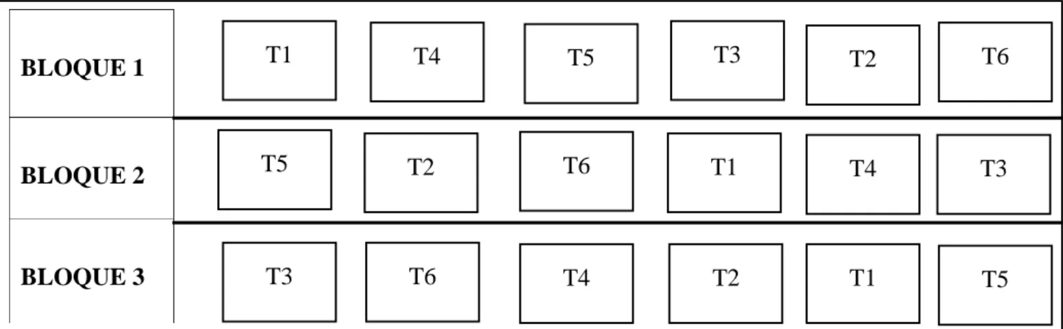 Tabla 8. Bloques a evaluar  