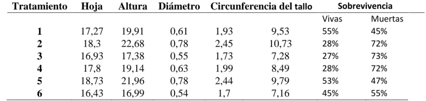 Tabla 10.  Resumen de análisis de variable de cada tratamiento 
