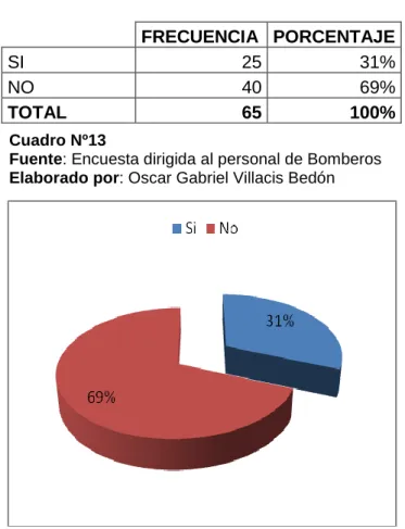 Gráfico Nº 13 