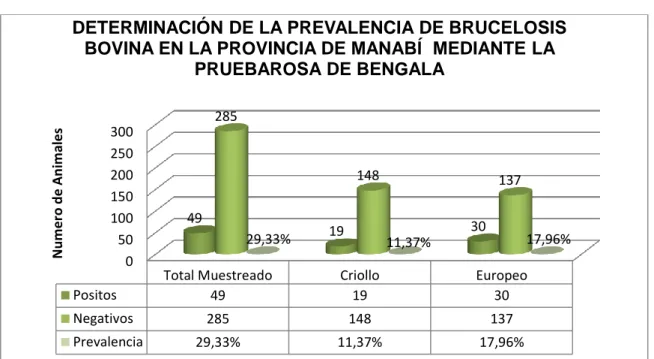Figura 2.- Numero de  bovinos analizado con la  prueba Rosa de Bengala, en la  Provincia de Manabí
