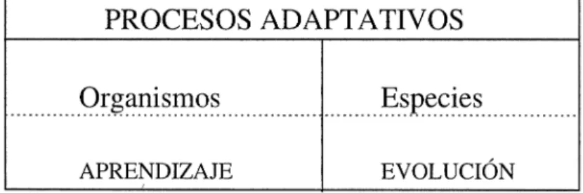 Figura 6.- Procesos adaptativos. 