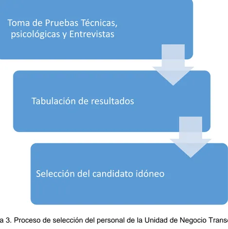 Figura 3. Proceso de selección del personal de la Unidad de Negocio Transelectric