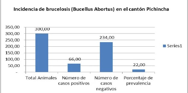 Cuadro 7. Porcentaje de bovinos reaccionantes a la prueba de Rosa de Bengala,  por  zonas  en  la  tesis,  “incidencia  de  brucelosis  bovina  (Brucella  abortus) en el cantón Pichincha, provincia de Manabí”, 2013