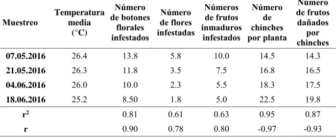 Tabla  3  Correlación entre la temperatura media  (°C)  y los  daños  causados  por la mosca del  botón floral y el chinche patón en el cultivo de maracuyá entre mayo y junio del 2016  en la zona de Quevedo  Muestreo  Temperatura media  (°C) Número  de bot
