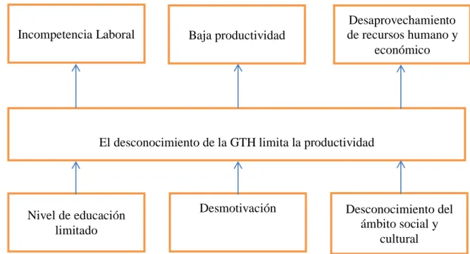 Gráfico 1Árbol de Problemas 