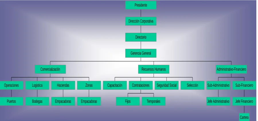 Gráfico 1 