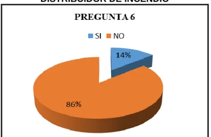 GRÁFICO N° 6 