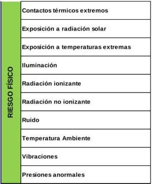 CUADRO Nº 12  RIESGOS FÍSICOS 