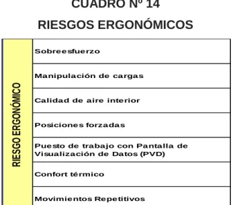 CUADRO Nº 14  RIESGOS ERGONÓMICOS 