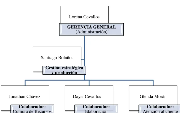 Figura  4 Estructura básica organizacional