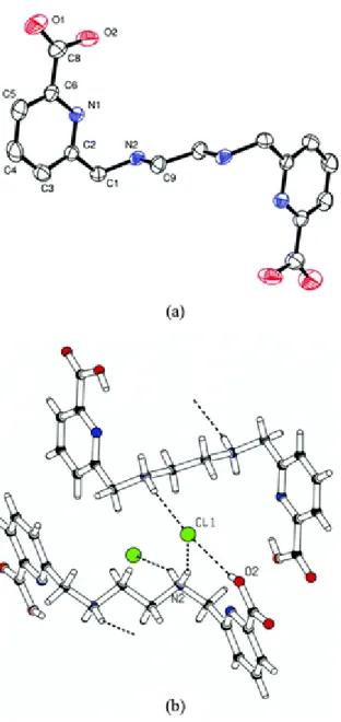 Fig. 2. X-Ray crystal structures of (a) [Zn(bcpe)]·3H 2 O, (b) [Cd(bcpe)]·2H 2 O and (c) [Cd(bcpc)]  