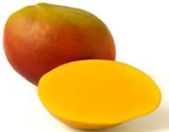 Figura 7: Mango Haden 