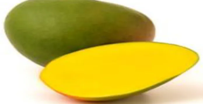 Figura 8: Mango Kent. 