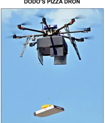FIGURA N°32  DODO’S PIZZA DRON 