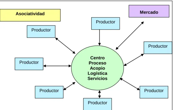 Gráfico N° 3. Asociatividad en el Biocomercio  