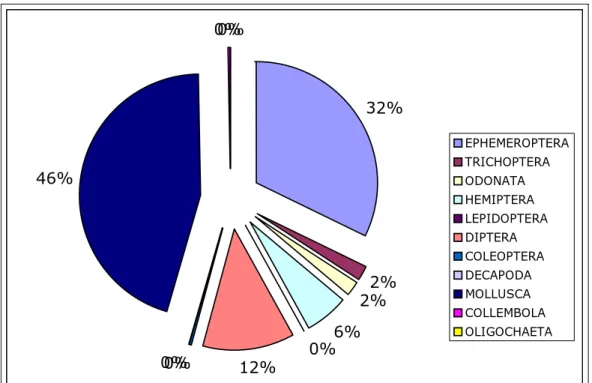 Figura 1: Composición porcentual de los distintos taxa encontrados durante todo  el estudio