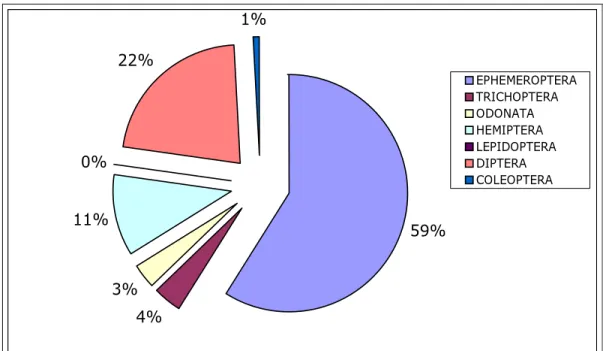 Figura 2: Composición porcentual de los distintos órdenes de insectos encontrados  durante el estudio