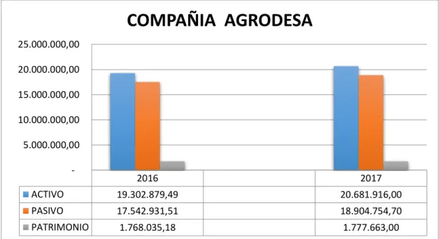 Figura 5 Estructura Balance General 2016-2017 