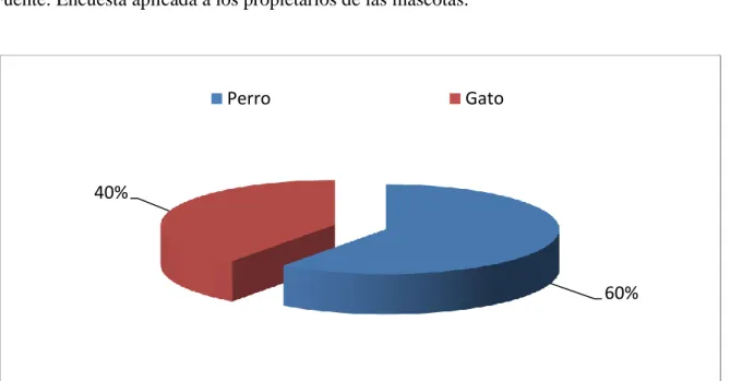 Tabla 7. Tipo de mascota  